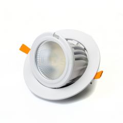 40W Adjustable Gimbal Retail LED
